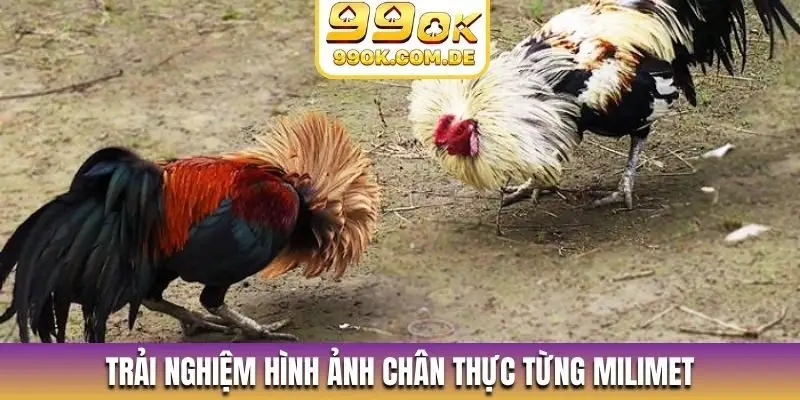 Trải nghiệm hình ảnh chân thực từng milimet
